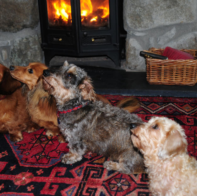 Pets welcome by arrangement