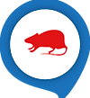 Dedettiza - Controle de Pragas, Dedetização, Baratas, Ratos, Cupim, DF, Escorpião, Brasília, Taguatinga, Desratização, Dedetizadora, Dedetizar