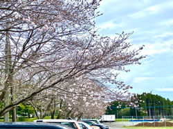 田野総合運動公園