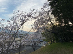 田野総合運動公園