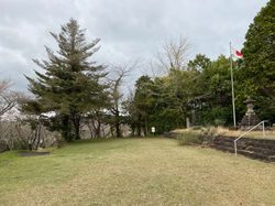 田野総合運動公園
