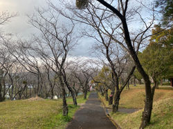 田野総合運動公園