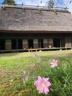 宮崎県総合博物館
