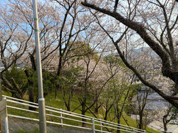 田野総合運動公園