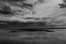DELTADELPO_BN_2025-31 (1)_edited.jpg