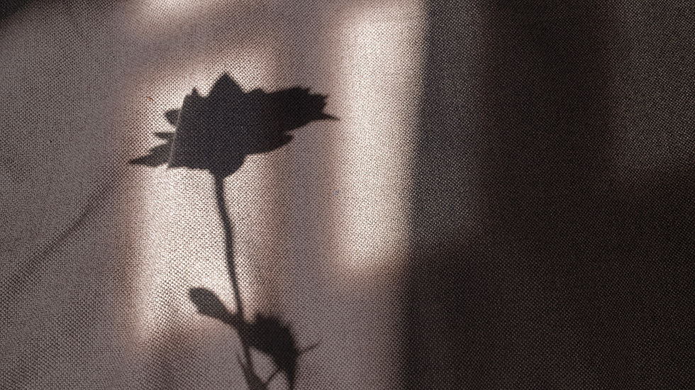 Flower Shadow_edited.jpg