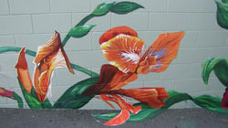 Public walkway, Nelson, NZ_