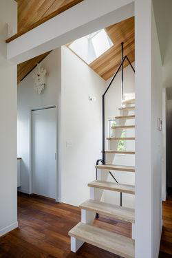 CSH19 トリコロールハウス