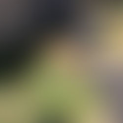 CSH20 Kliffside Rd. HOUSE　杭工事