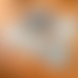 カラマツ外壁新色登場！