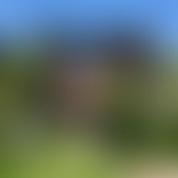 夏のタープの付け方について