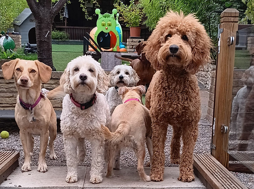 The gang_edited.jpg
