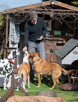 untitled (169 of 272).jpg