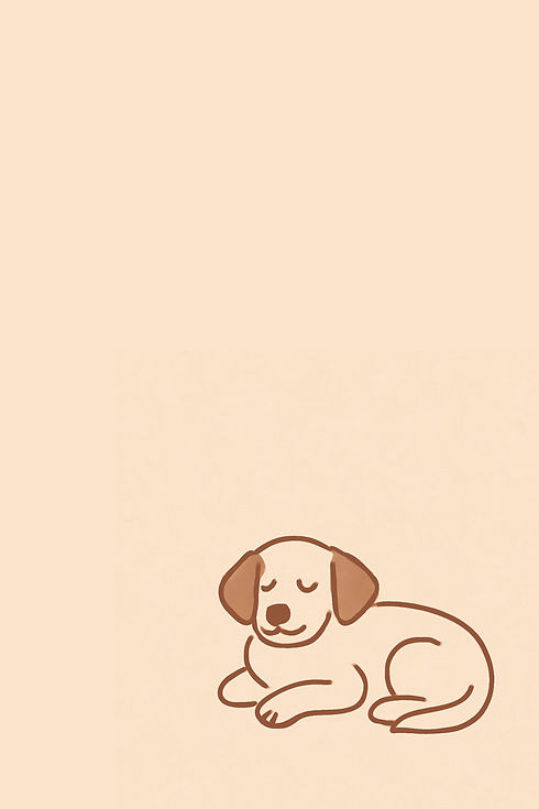 dog.jpg
