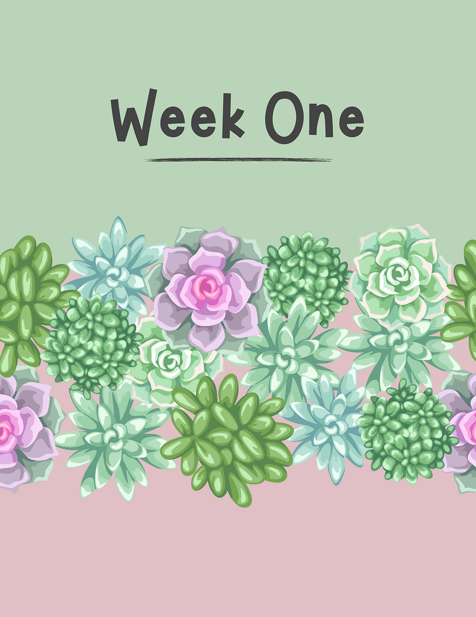 Thumbnail: Daily/Weekly/Monthly Planner - Digital Download - "Succulents" Design