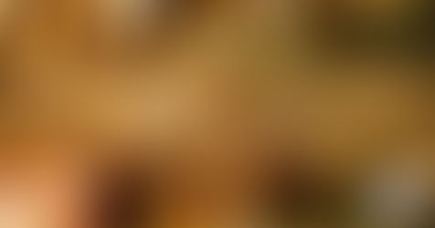 Christmas blog post title image with warm golden bokeh lights and evergreen branches, featuring the text “The Light the World Was Waiting For.” Soft, glowing holiday background with a peaceful, inspirational feel.