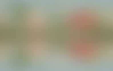 Beautiful flowers - how to approach God in prayer.