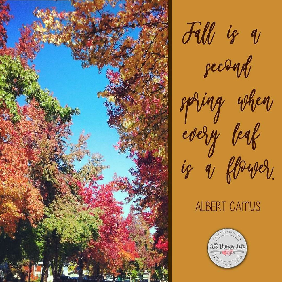 Autumn quote: "Fall is a second spring when every leaf is a flower."