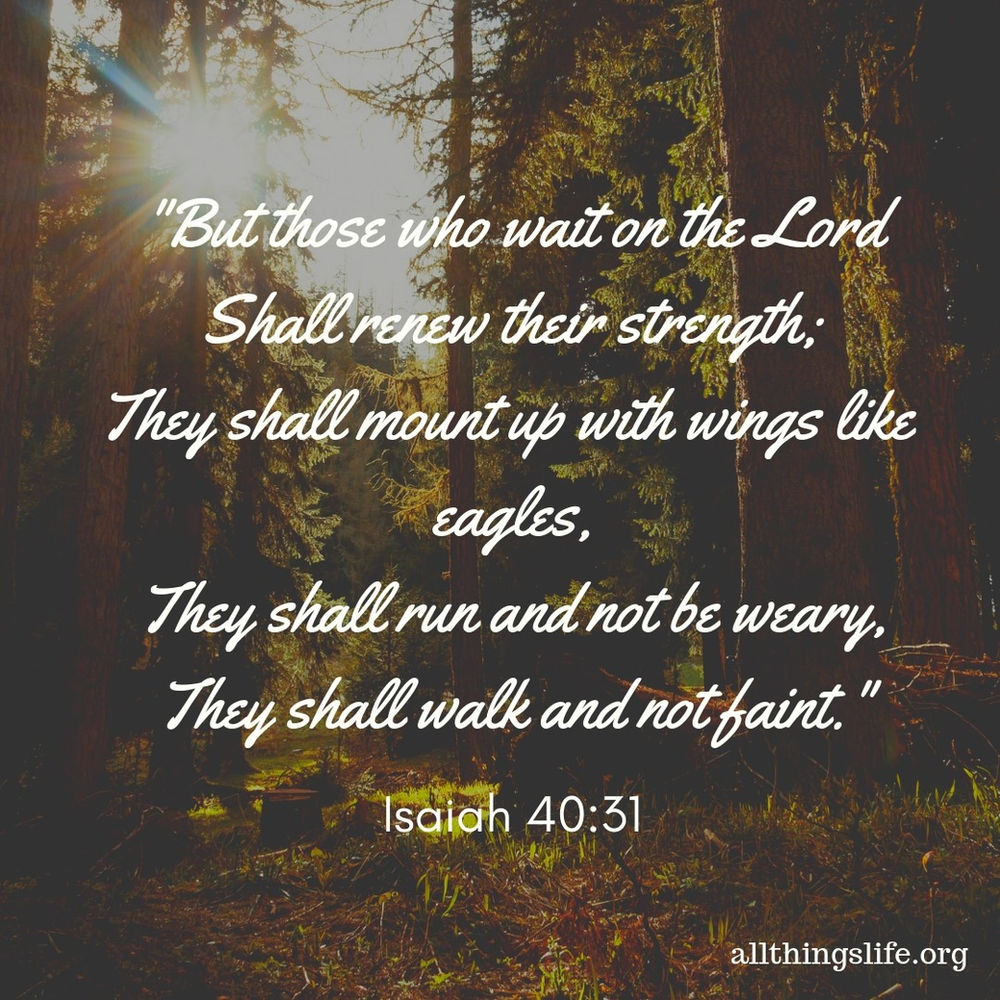 Waiting on God Why It is Important to Wait on God