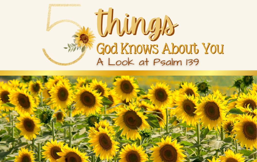 Five Things God Knows About You - A Look at Psalm 139
