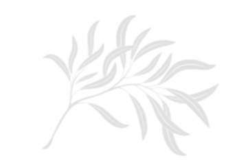 Willow and Nest Logo - White