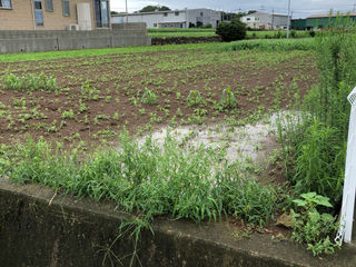 雲仙市愛野町I様邸|測量