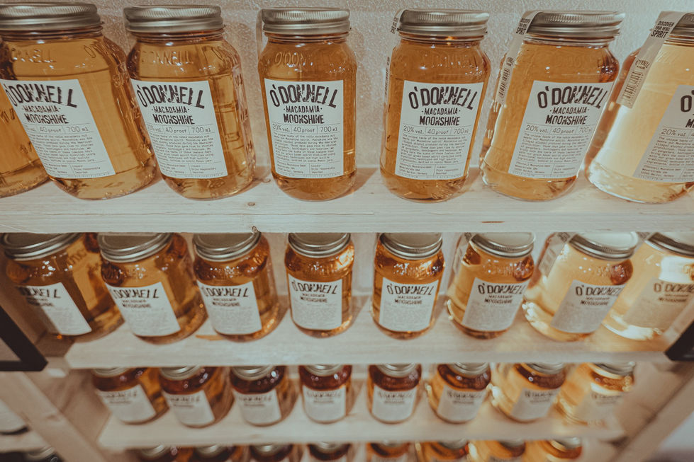 O'Donnell - Coda Photography-03.jpg_compressed