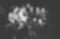 Crowd _colindarbyshir3 - _codaphotos-1.jpg