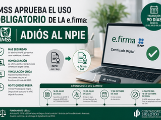 IMSS aprueba el uso obligatorio de la e.firma: adiós al NPIE
