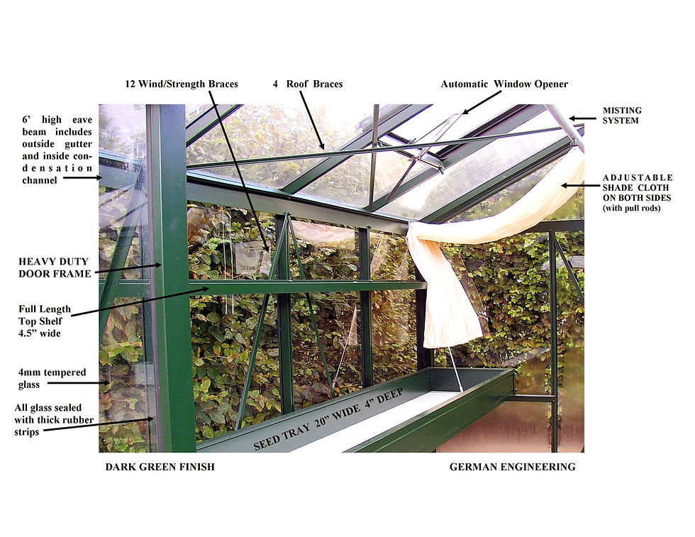 Thumbnail: Royal Victorian VI 36 Greenhouse (20 ft L x 10 ft W)