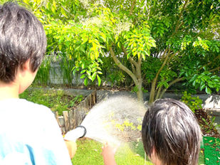 【Hot Topics】虫がつきにくい！夏のメンテナンスがラクな庭木5選