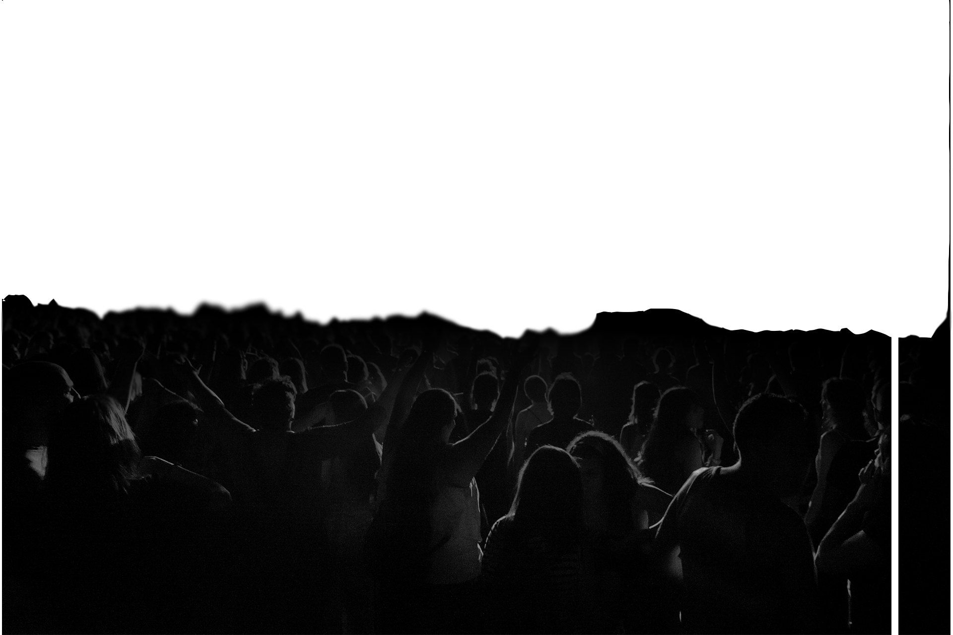 audience1.png