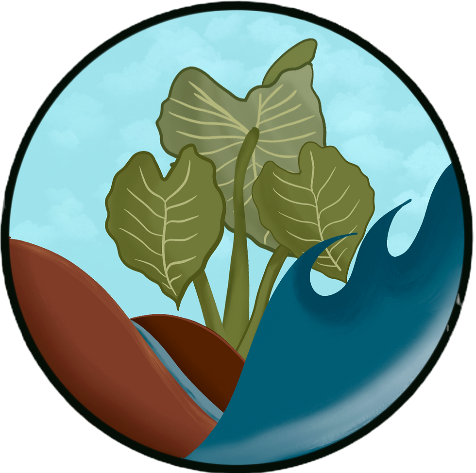 Nativa Hawaiian Philantropy logo
