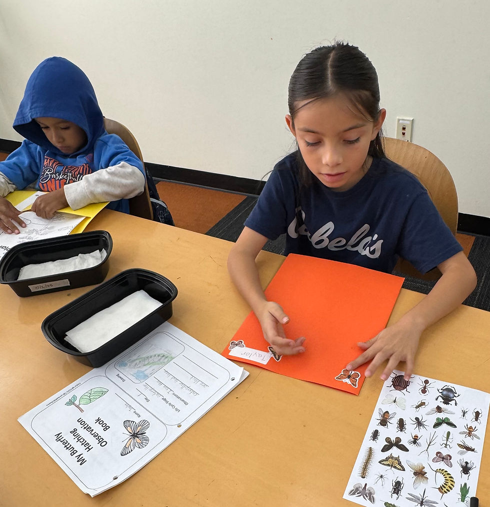 Classroom program image 3.jpg