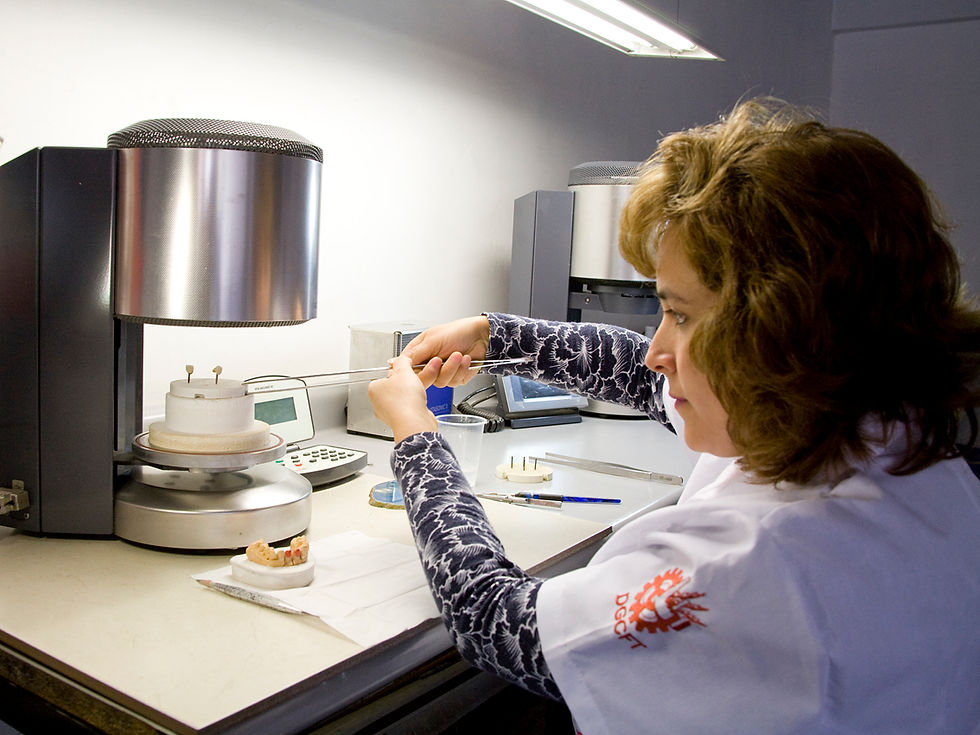 Montado de Porcelana