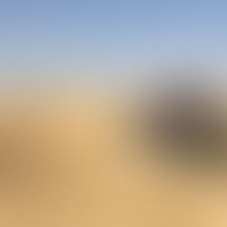 Dismantling the city - Exiting - What? It’s already over?