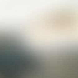 השתתפות מוביל מערך "שכנות טובה"