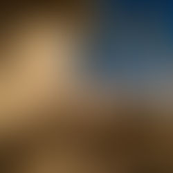 השתתפות - צוות רסטו