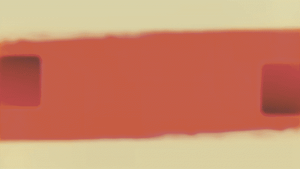 ezgif.com-optimize (1).gif