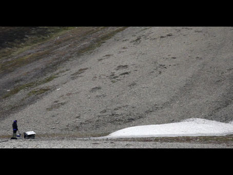 Landscape For The Terrified