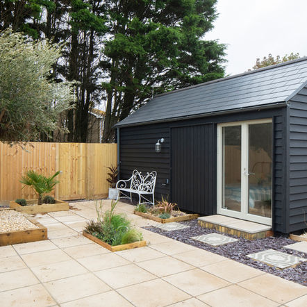 Garden House Olive Tree.jpg