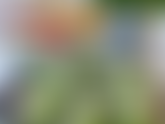 Pea and Mint Gazpacho Soup 