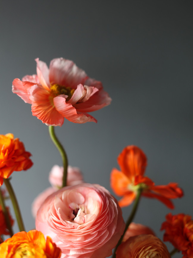826D184F-F97C-44AB-9C47-360381535C0F.jpeg