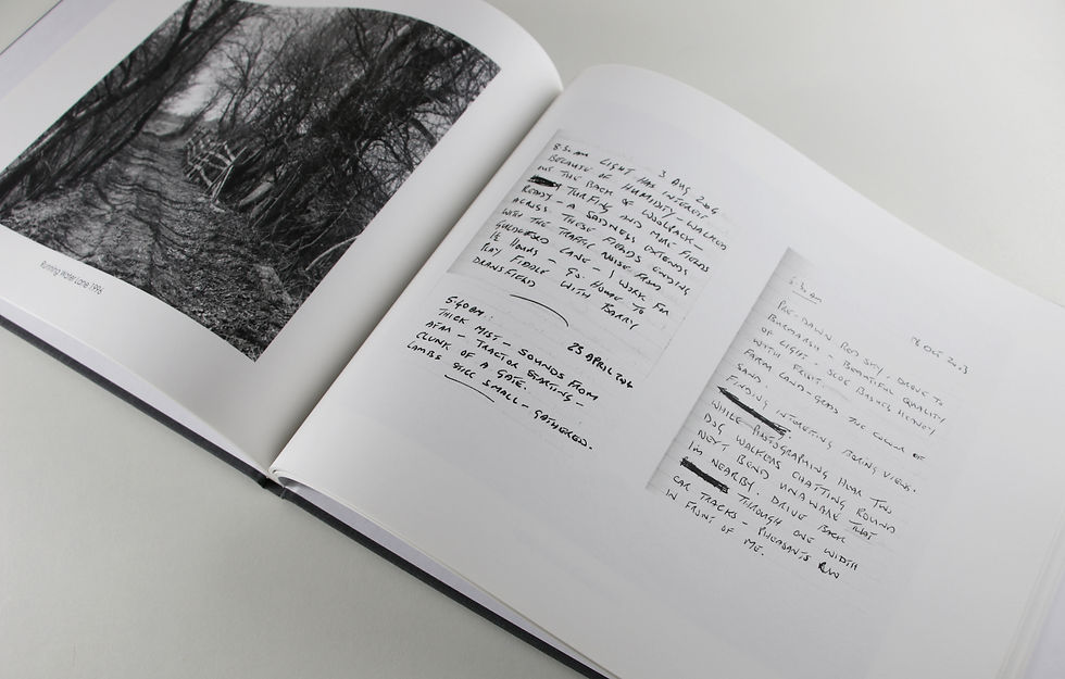 Thumbnail: Notes From A Landscape - Terry Hulf