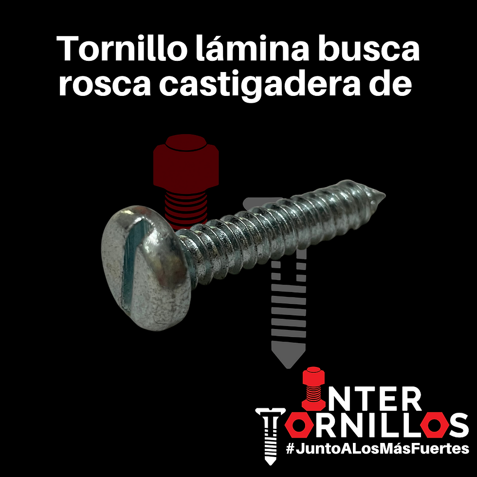TORNILLO LAMINA BUSCA ROSCA CASTIGADERA