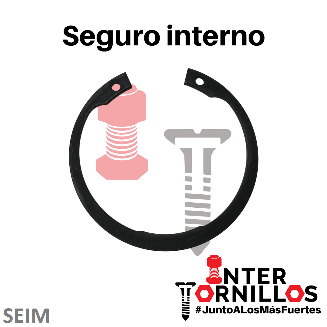 Seguro Interno