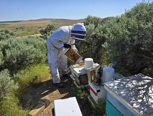 3ff20da5-387b-4ec8-ae8b-c61a2a9dfa91 (1).jpg