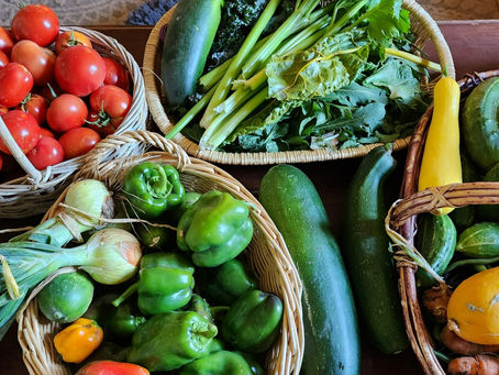 OSTEOPOROSIS: Part 4 Eat Nutritious Food