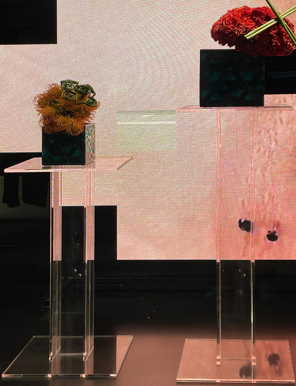 SHOPWINDOW_9
