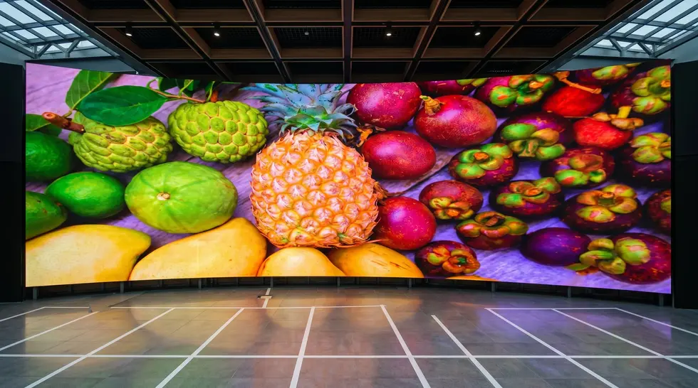 Inquadratura frontale e simmetrica di un imponente schermo LED curvo Lamina SR installato all'interno di una sala moderna con soffitto a griglia, che mostra un assortimento di frutta tropicale dai colori brillanti riflessi sul pavimento lucido.